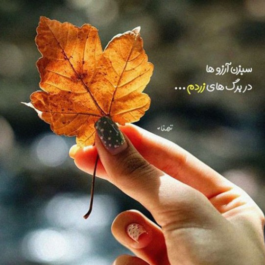 دانلود آهنگ کات شارومین علی سورنا حصین صادق خلسه مسلک از فارس ترانه